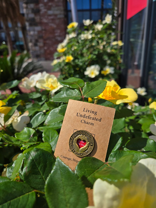 A Living Undefeated Charm tucked among yellow and white flowers